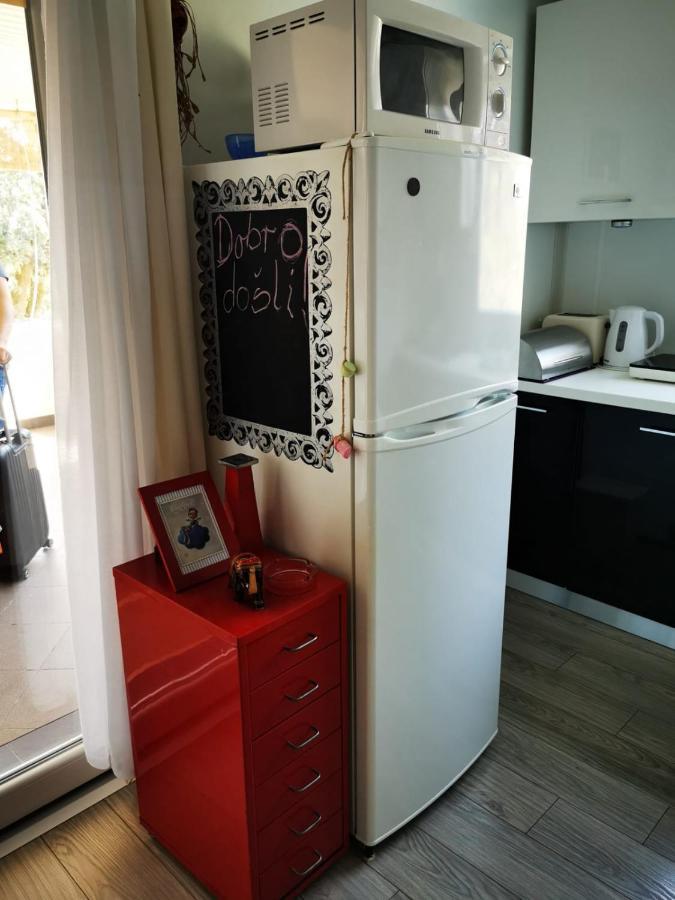 Studio Apartment Rosemary 罗维尼 外观 照片