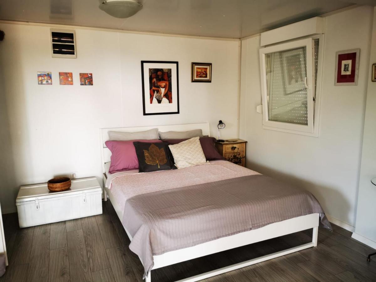 Studio Apartment Rosemary 罗维尼 外观 照片