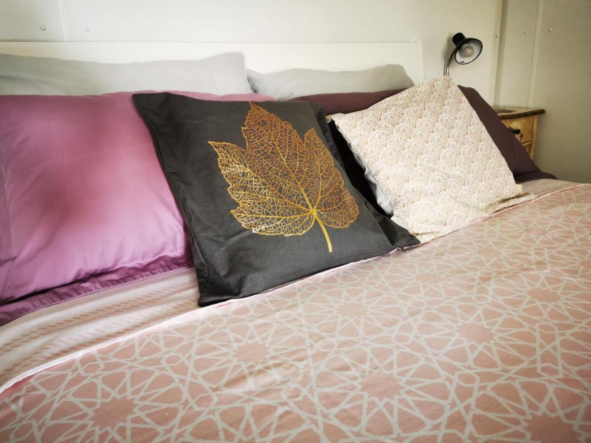 Studio Apartment Rosemary 罗维尼 外观 照片