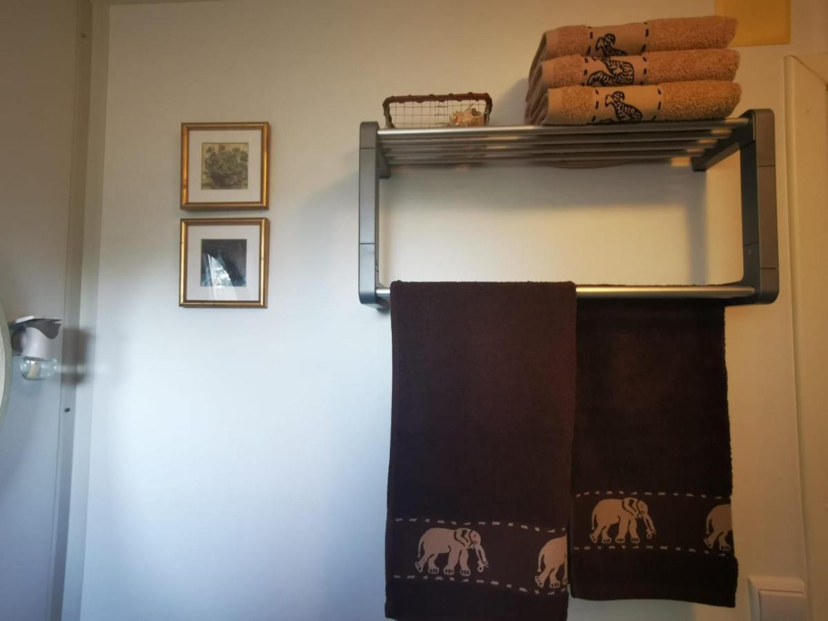 Studio Apartment Rosemary 罗维尼 外观 照片