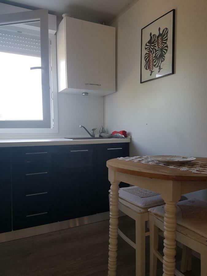 Studio Apartment Rosemary 罗维尼 外观 照片